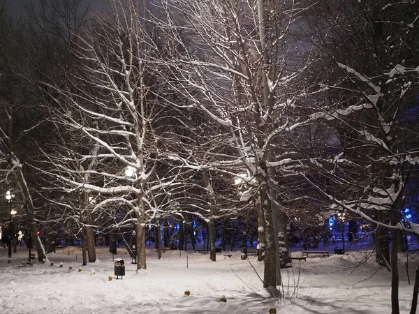 Pejzaż Zimowy Park Snowy Nocy Świeci Przez Uliczne Latarnie Ławki — Zdjęcie stockowe