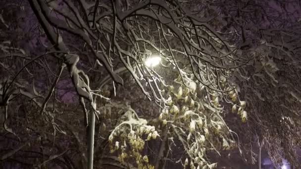 Tormenta de nieve nocturna, nieve cayendo bajo la luz de una linterna como fondo, 4k. — Vídeo de stock