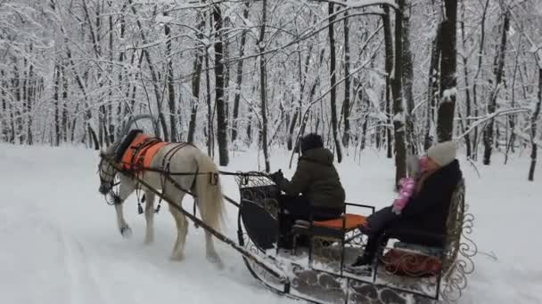 Saratow Rosja Styczeń 2022 Rodzina Dzieckiem Jeździ Koniach Uprzęży Zimowym — Wideo stockowe