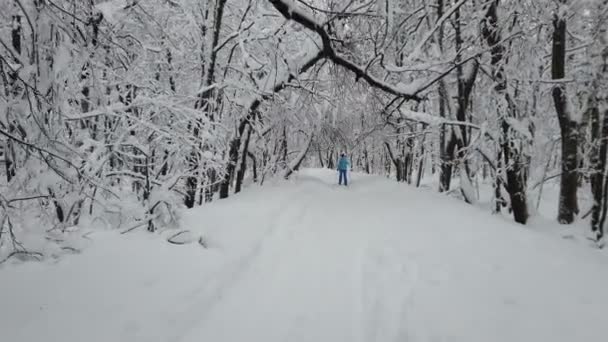 身着蓝色西服的女人在美丽的冬季森林里滑行越野滑雪 相机在她身后移动 — 图库视频影像