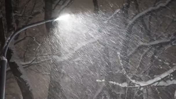 Tempestade Neve Noite Neve Caindo Sob Luz Uma Lanterna Como — Vídeo de Stock