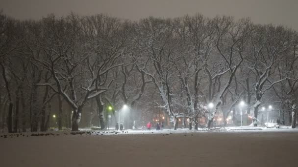 冬夜的城市街道和公园 霜和雾把所有的树都覆盖上了霜 — 图库视频影像