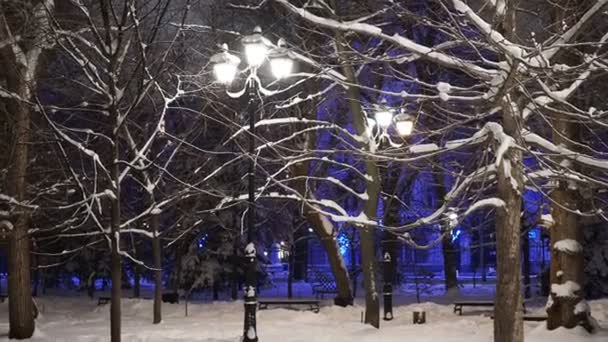 Strade Della Città Parchi Nelle Notti Invernali Gelo Nebbia Coprivano — Video Stock