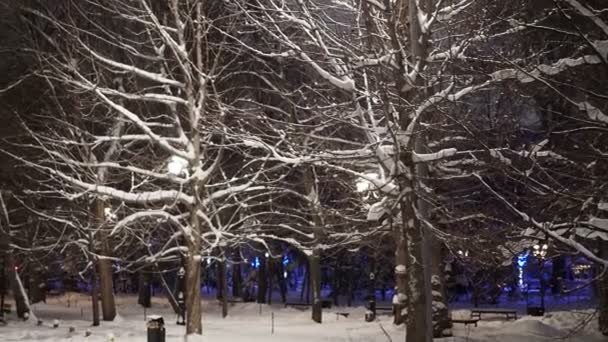 Calles Ciudad Parques Noches Invierno Escarcha Niebla Cubrían Todos Los — Vídeos de Stock