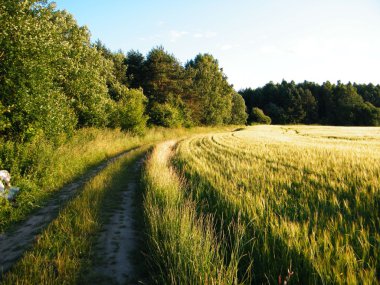 bir yaz akşamı yola alan