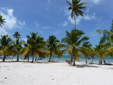 plaj Mano juan, Isla saona, Dominik Cumhuriyeti