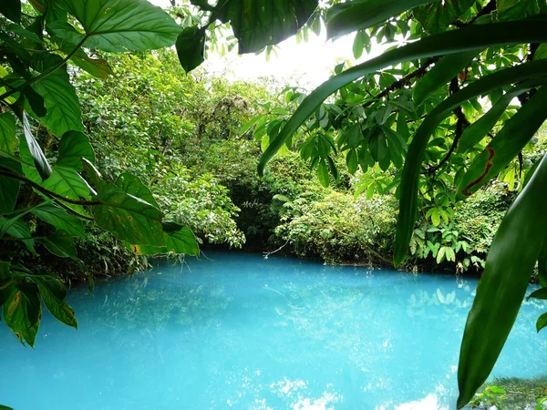 Incredible blue lagoon — Stock Photo, Image