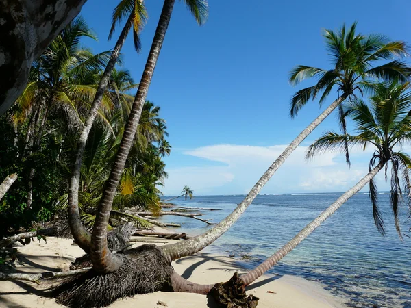 Karibikstrand — Stockfoto