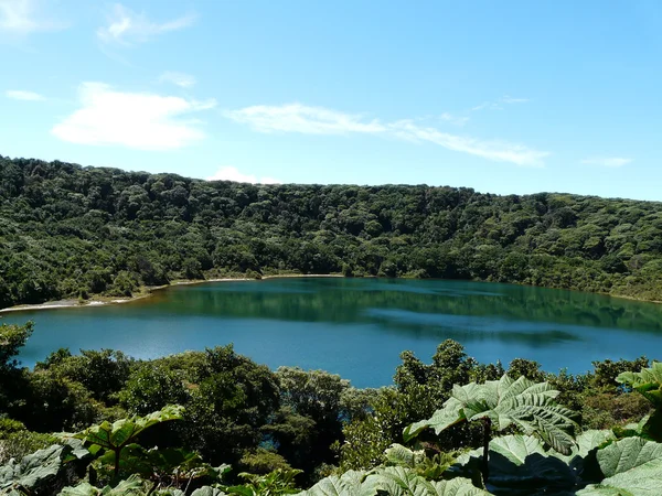 Un lago vicino al vulcano Poas, Costa Rica — Foto Stock