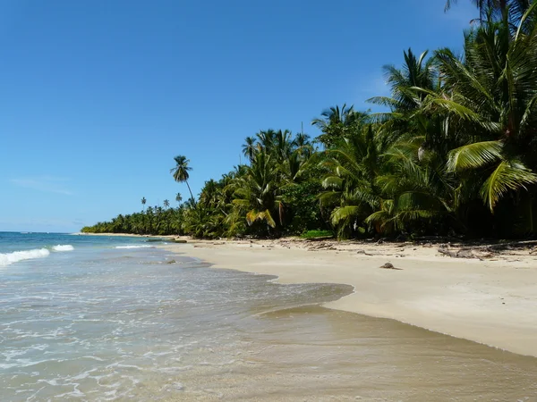 Playa del Caribe — Foto de Stock