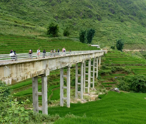 Amazing Bridge In Sapa Mountains — Stock Photo, Image