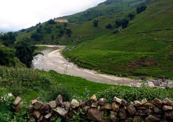 Vreedzame rijst boerderij in de buurt van een rivier — Stockfoto