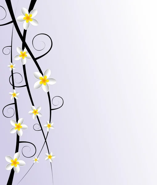 ดอกไม้ตกแต่งแบบนามธรรม Frangipani — ภาพเวกเตอร์สต็อก