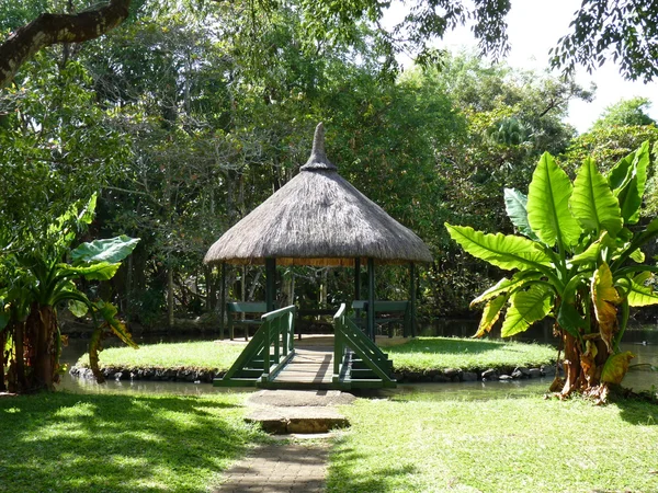 Jardín Botánico Sir Seewoosagur Ramgoolam — Foto de Stock