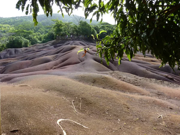 Chamarel yedi renkli toprak metalleri — Stok fotoğraf