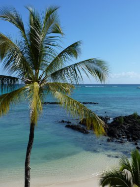 Beach grand baie