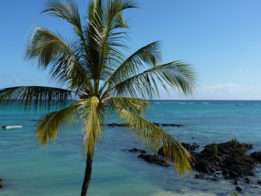 Beach grand baie