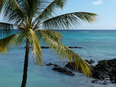 Beach grand baie