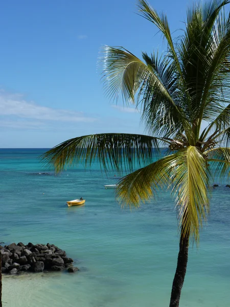 Strand von grand baie — Stockfoto