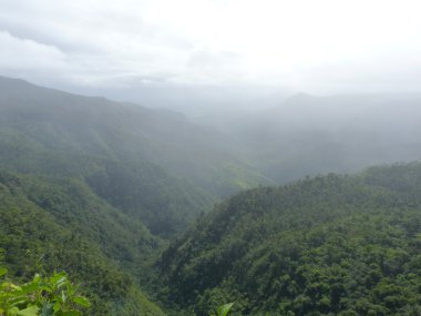 Black River Gorges