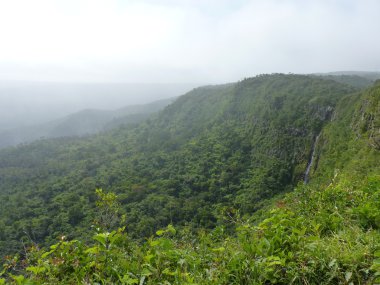 Black River Gorges