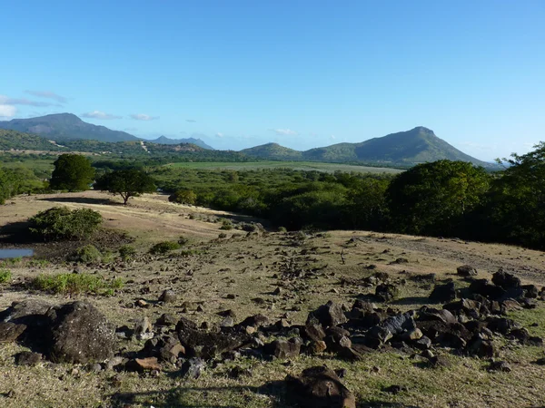 Casela Nature Park — Stock Photo, Image