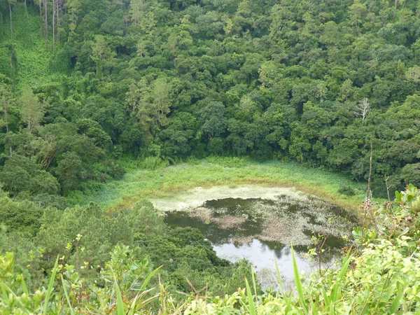 Trou Aux Cerfs Crater — Φωτογραφία Αρχείου