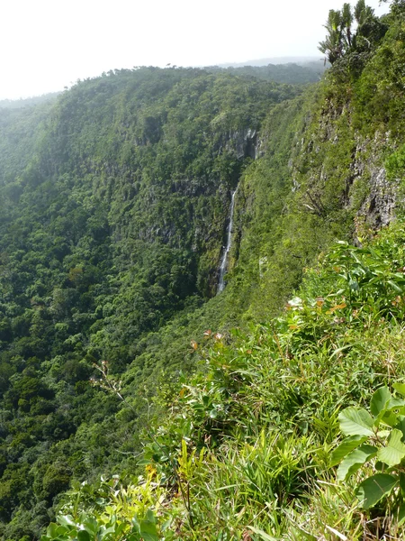 Black River Gorges — Zdjęcie stockowe