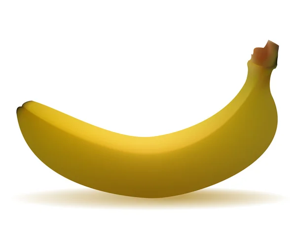 Ripe banana — Stock Vector