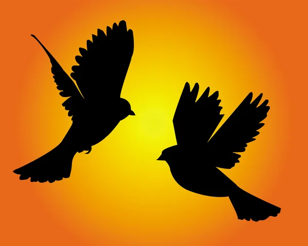 İki Güvercin — Stok Vektör