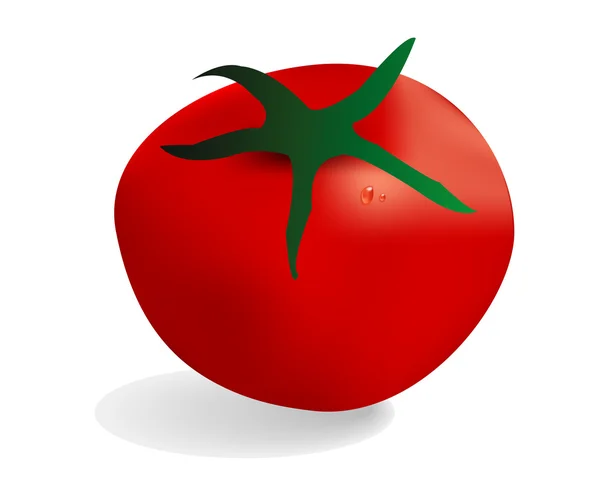 Tomat Merah - Stok Vektor