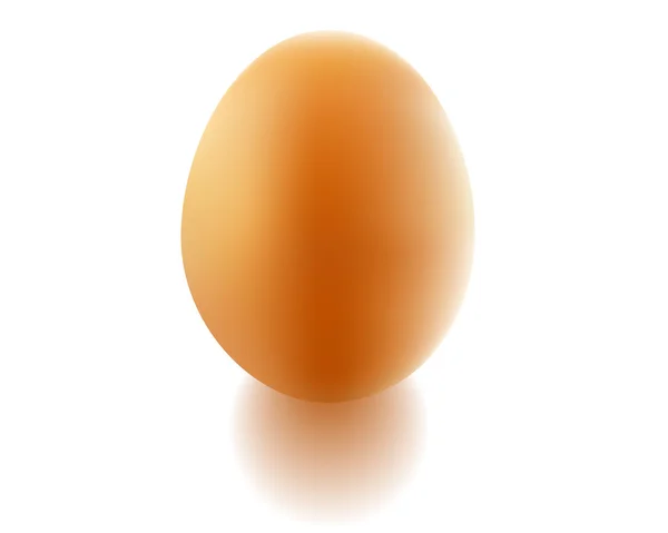 치킨 계란 — 스톡 벡터