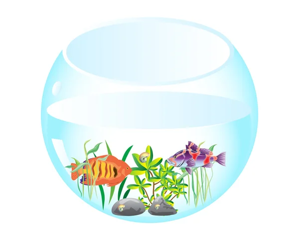 Aquarium met vissen — Stockvector