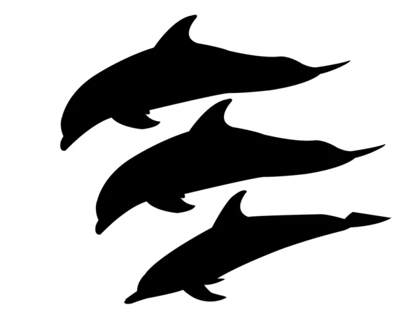 Three dolphins — Stock Vector