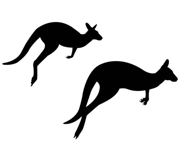 Два кенгуру — стоковый вектор
