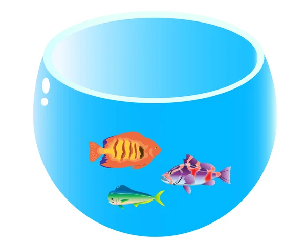 Home aquarium with three fish — Stock Vector