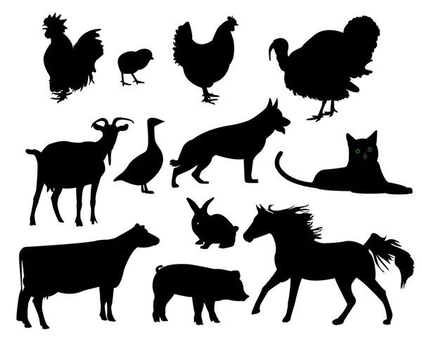 Домашние животные — стоковый вектор