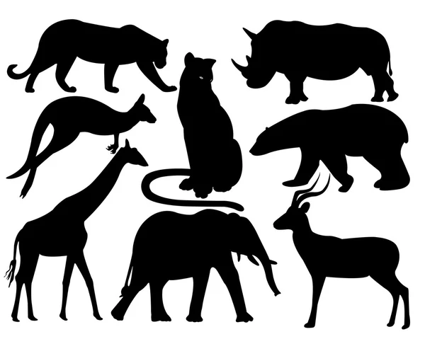 Wildlife animals — Stock Vector
