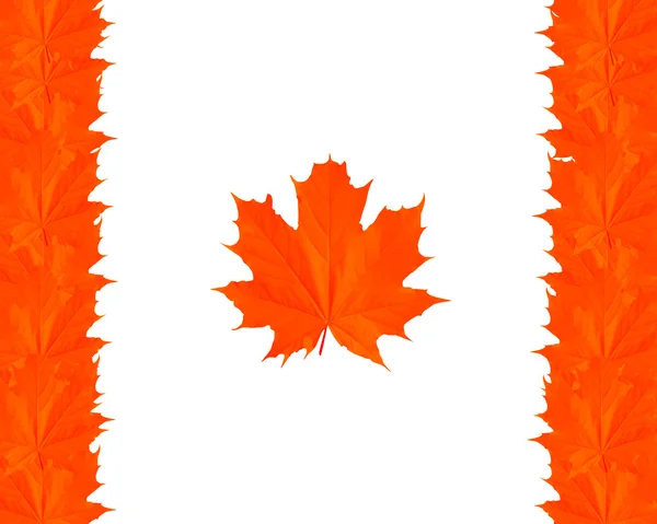 Symbolen van canada — Stockvector