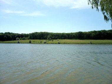 Su ağaçları çimen gökyüzü güneşli yaz havasında