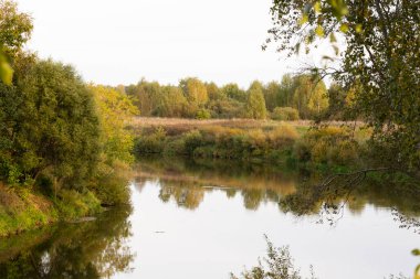 Sonbahar ormanındaki nehir. Sonbahar nehir suyu. Sonbahar orman nehir manzarası