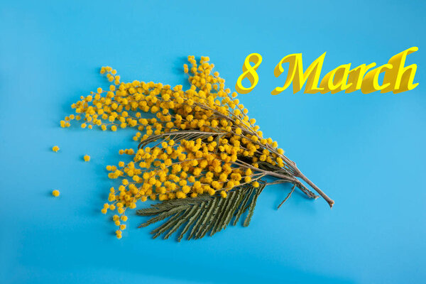 Design of a postcard for International Womens Day. Yellow mimosa flowers and the inscription March 8 in English
