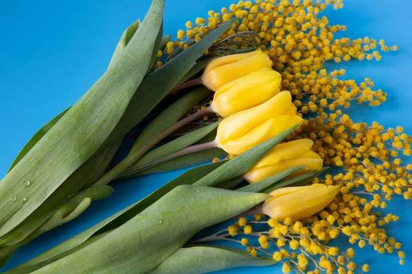 Helder voorjaar boeket van tulpen en mimosa bloemen. — Stockfoto