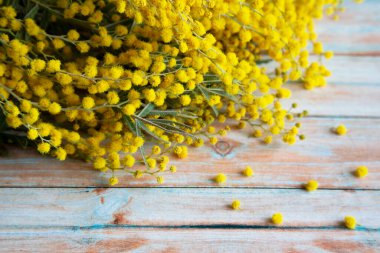 Tahta bir masada Mimosa ya da gümüş sarısı bahar çiçekleri.