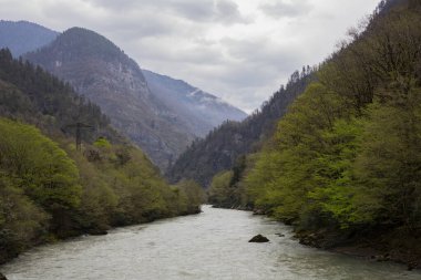 Uçurumlar arasındaki dağ nehri. Nehrin mavi berrak suyu. Nehir kıyısında genç yeşil ağaçlar