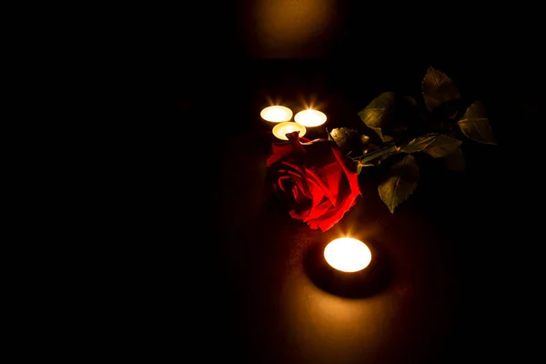 붉은 장미 한 송이가 어두운 배경에 촛불을 놓고 있었다. 흑마술 의식의 극적 인 신비주의적 분위기. 슬픔 과 애 도 엽서라는 개념. — 스톡 사진