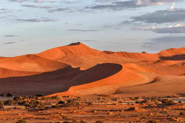 Gurun Pasir Merah Daerah Sossusvlei Saat Matahari Terbit Namib Naukluft — Stok Foto