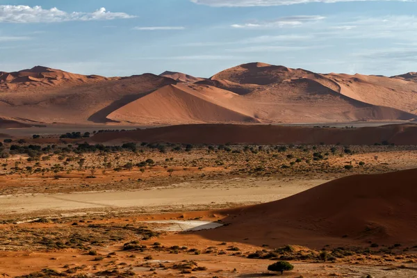Dunas Vermelhas Área Sossusvlei Nascer Sol Pak Nacional Namib Naukluft — Fotografia de Stock