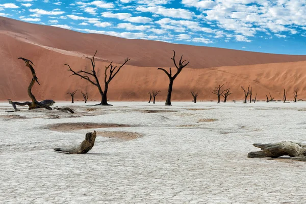 Namib Naukluft Ulusal Parkı Nın Bir Parçası Olan Sossusvlei Deki — Stok fotoğraf