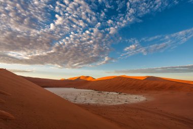 Namib-Naukluft Ulusal Parkı 'nın bir parçası olan Sossusvlei' deki Ölü Vlei 'de güzel bulutlu bir gökyüzü olan ölü ağaçlar